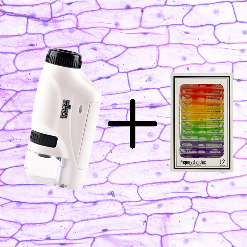 Kids children nature explorer handy electric Microscope