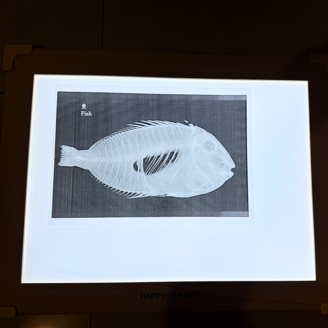 Wooden Light Panel for Table Kids Sensory Tool