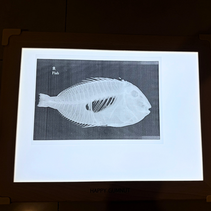 Wooden Light Panel for Table Kids Sensory Tool