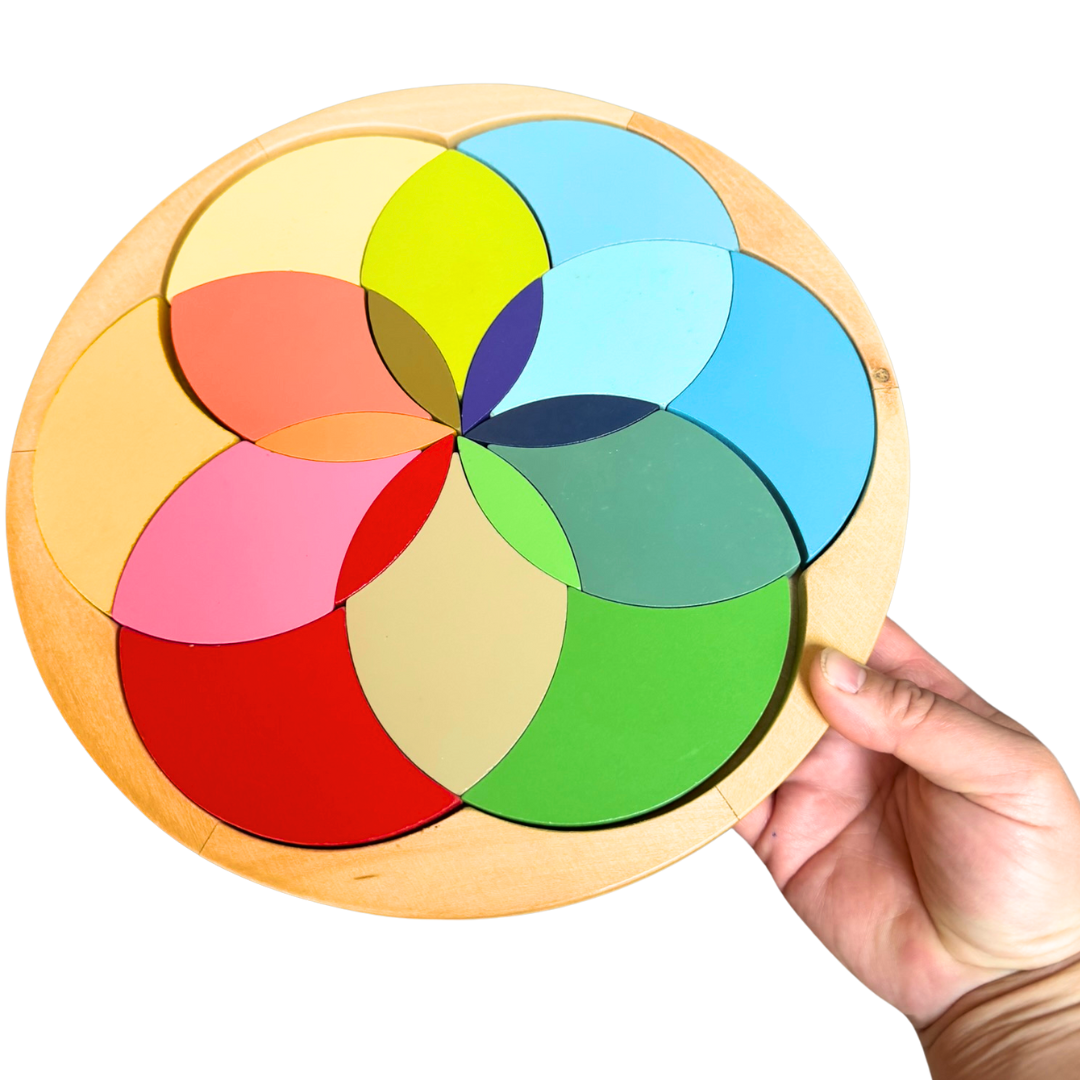 27cm Large Montessori Deluxe Primary Colours Wheel Learning Board Puzzle