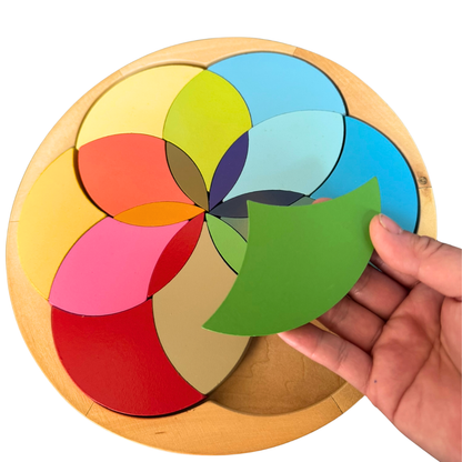 27cm Large Montessori Deluxe Primary Colours Wheel Learning Board Puzzle
