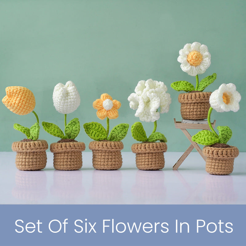 Flower Pot Set Crochet Kit
