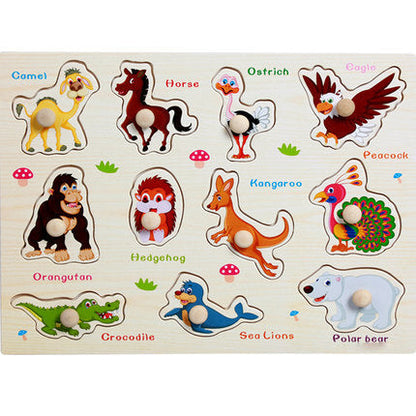 Montessori Peg Puzzles