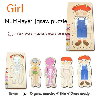 Boys' Body Structure Puzzle - Fun and Learn