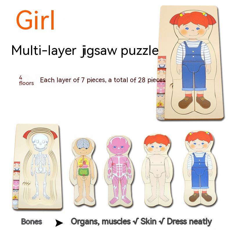 Boys' Body Structure Puzzle - Fun and Learn
