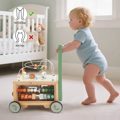 Fidtoy Adjustable Push Walker with Interactive Activity Cube