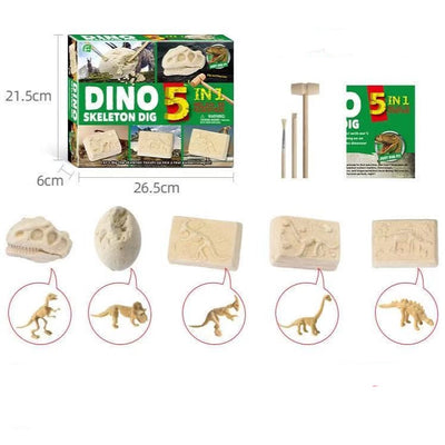 STEM Niños Kit de excavación Tesoro Pirata / Excavación de esqueleto de dinosaurio 5 en 1 - Juguetes de motricidad fina