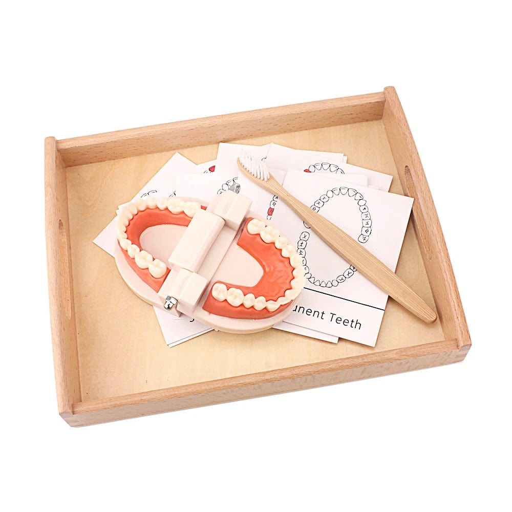 Brushing Teeth Montessori