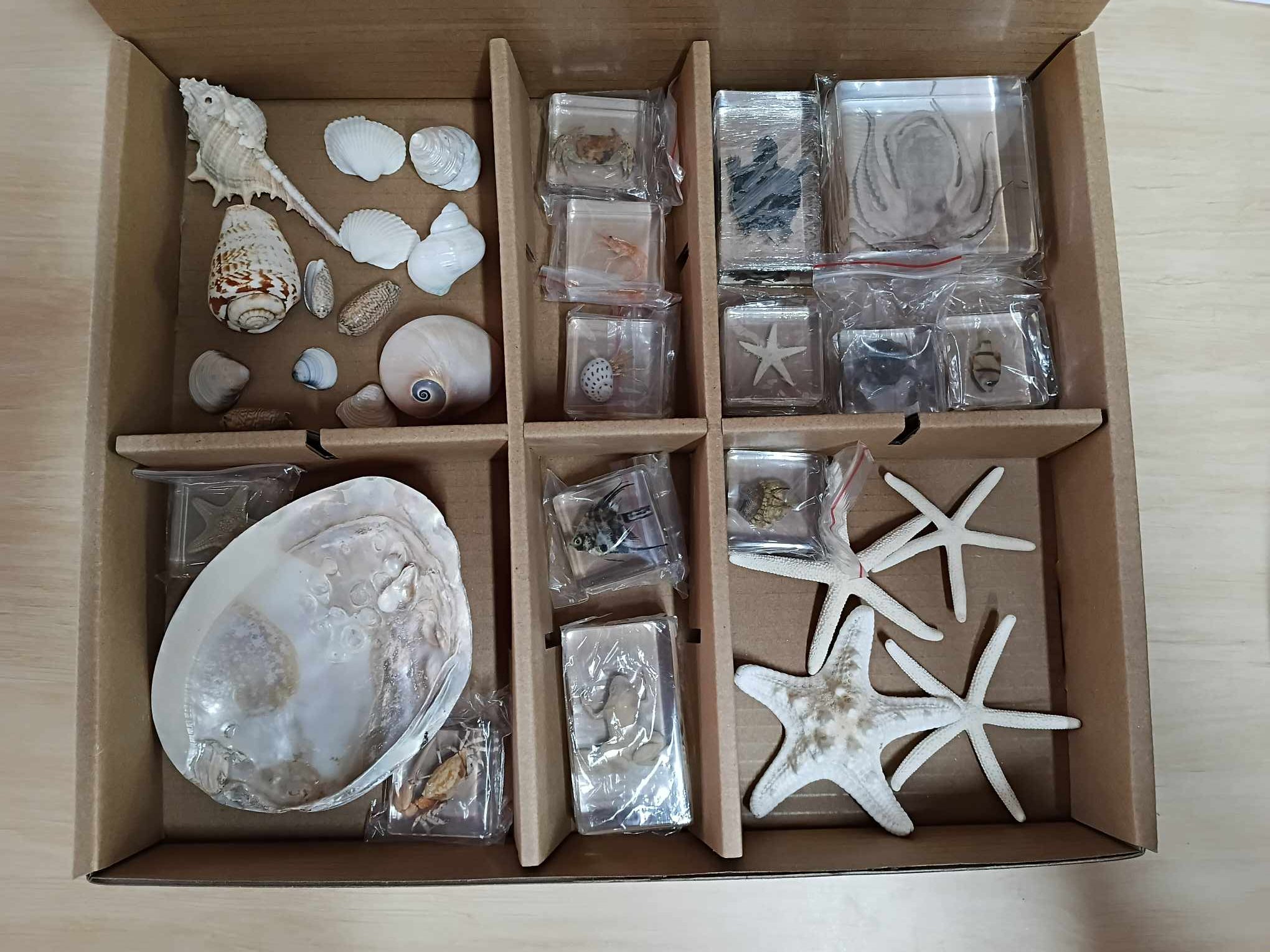 Montessori Premium Marine Resin Theme Bundle Set