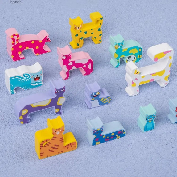Wooden Cat Pattern Challenge Blocks - 12 Pieces