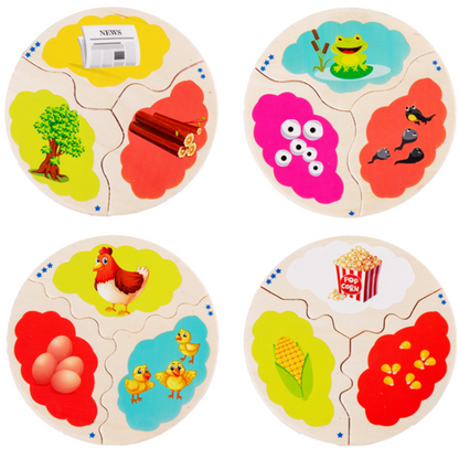 Wooden Evolution Puzzle-Mathematics toys