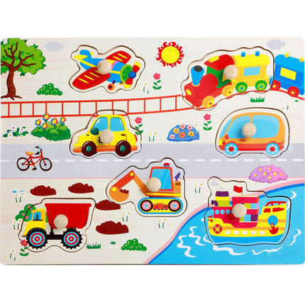 Montessori Peg Puzzles