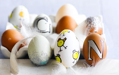 Jumbo Solid Wooden Egg Natural Finish DIY Craft Egg