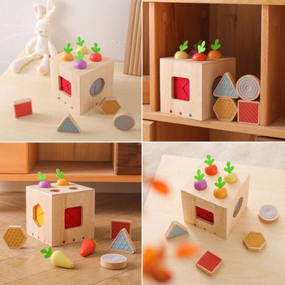 Forme géométrique en bois coulée Éveil Petite Enfance Pour Bébé Jouets Éducatifs