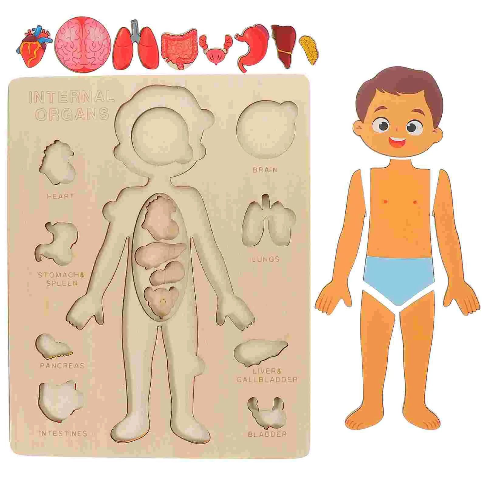Wooden Montessori Human Body Puzzle - Educational Learning Toy for Kids