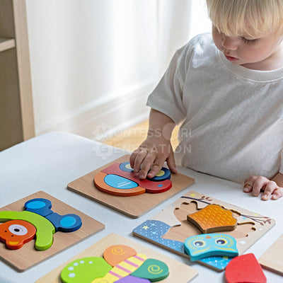 Fidtoy Wooden Toddler Puzzle Set – 6 Educational Puzzles for Kids 2+