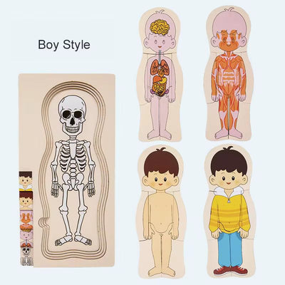 Puzzle en bois multicouche sur l'anatomie humaine - Jouet éducatif de séquençage à 5 couches