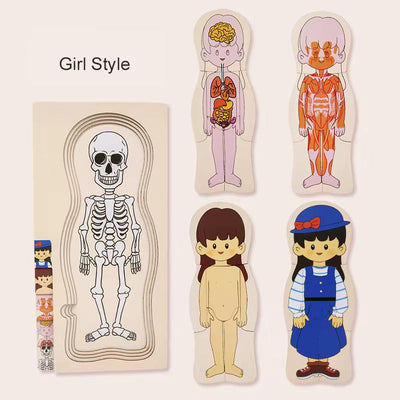 Puzzle en bois multicouche sur l'anatomie humaine - Jouet éducatif de séquençage à 5 couches