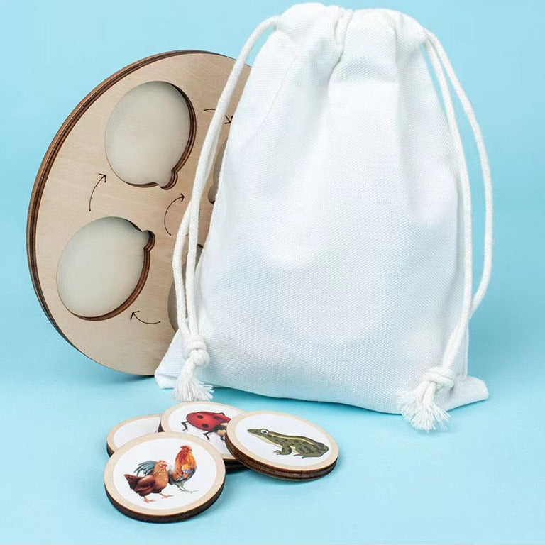 Wooden Life Cycle Derivation Board