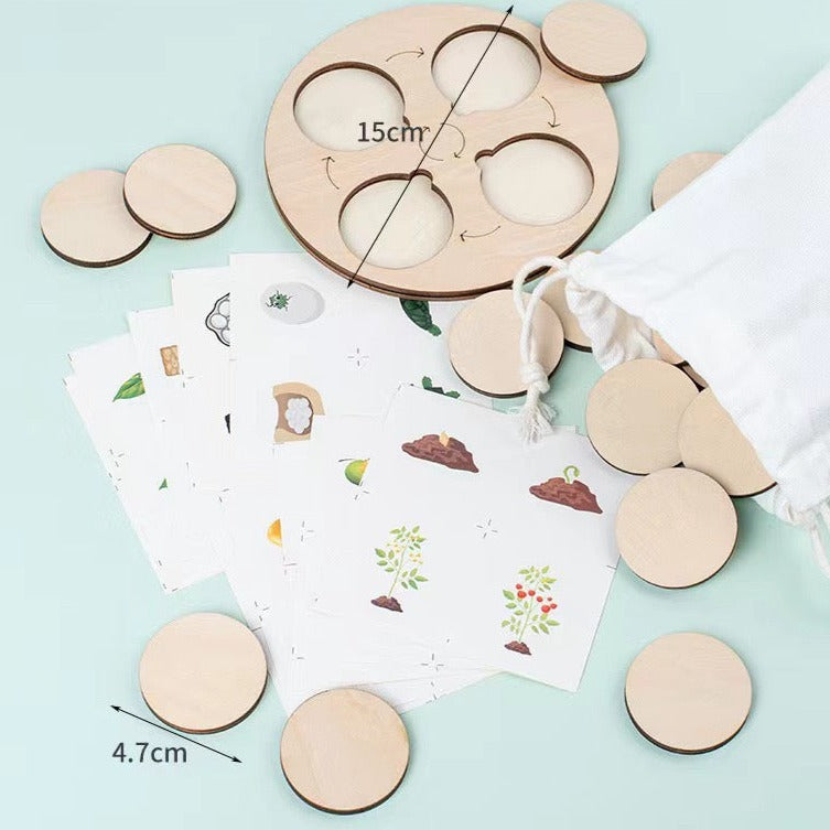 Wooden Life Cycle Derivation Board