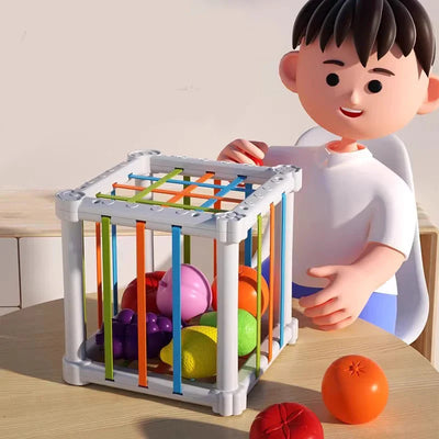 Fruit Box™ - Snijden, Spelen, Leren - Fruit in box