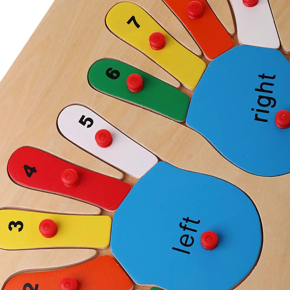 Number Hands Puzzle- Fine motor skills toys