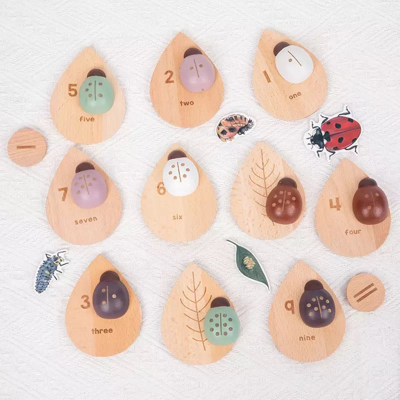 Wooden Ladybug Study - Montessori Wooden Toys