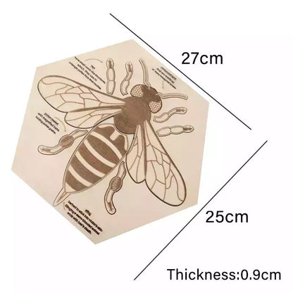 Wooden Bee Anatomy Puzzle