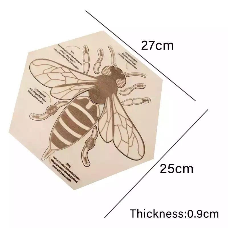 Wooden Bee Anatomy Puzzle