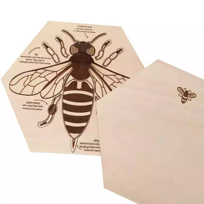 Wooden Bee Anatomy Puzzle