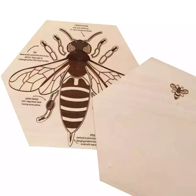 Wooden Bee Anatomy Puzzle