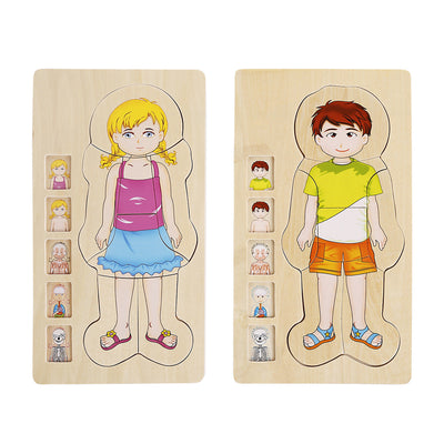 Onshine Wooden 3D Anatomy Puzzle- Fine motor skills toys