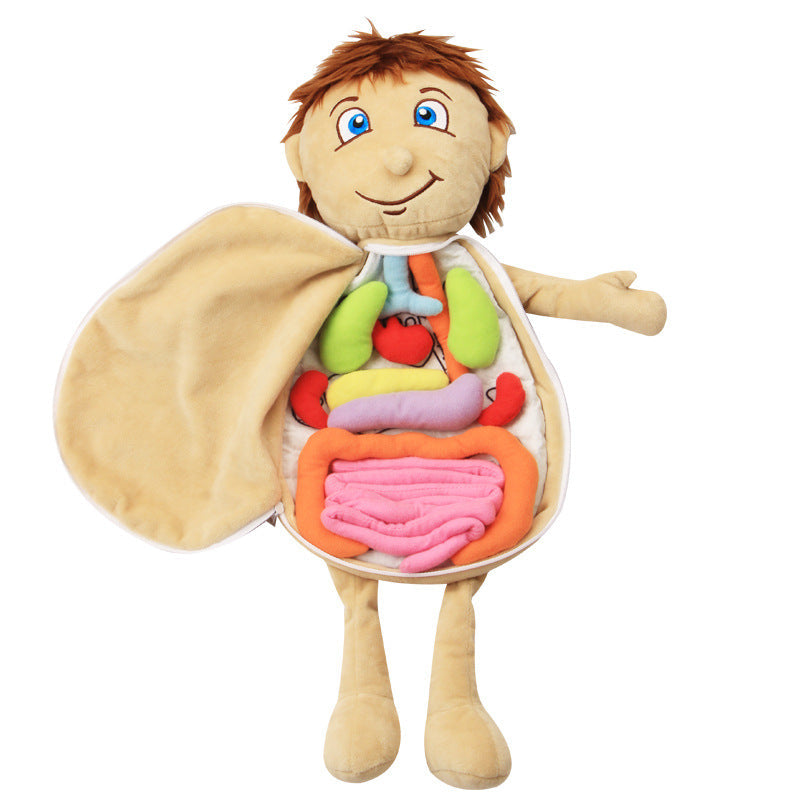 Poupée anatomique Montessori - Meilleurs jouets Montessori