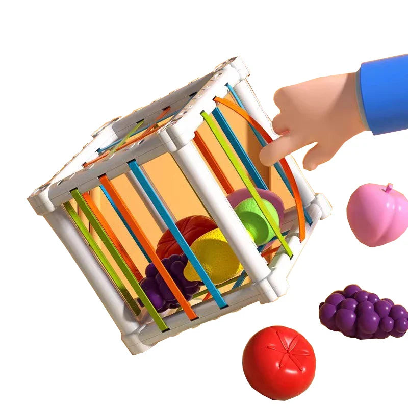 Fruit Box™ - Snijden, Spelen, Leren - Fruit in box