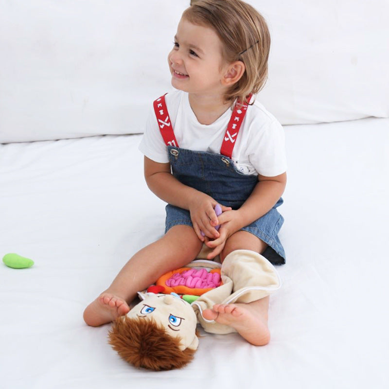 Poupée anatomique Montessori - Meilleurs jouets Montessori