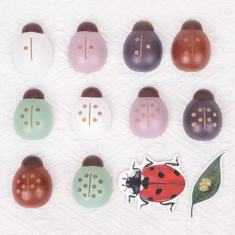 Wooden Ladybug Study - Montessori Wooden Toys