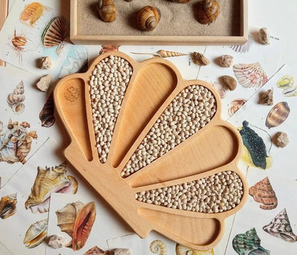 Wooden Shell Sensory Play Tray - Open ended wooden toys
