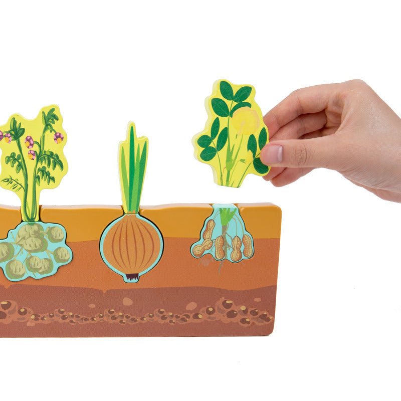 Wooden Vegetables Puzzle - Best Montessori Educational Toys