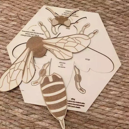Wooden Bee Anatomy Puzzle