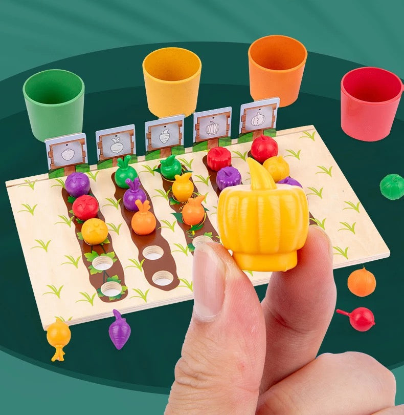 Juego de clasificación y conteo de frutas y verduras - Juguetes de matemáticas
