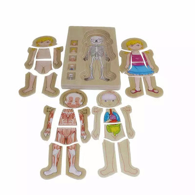 Onshine Wooden 3D Anatomy Puzzle- Fine motor skills toys