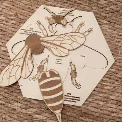 Wooden Bee Anatomy Puzzle