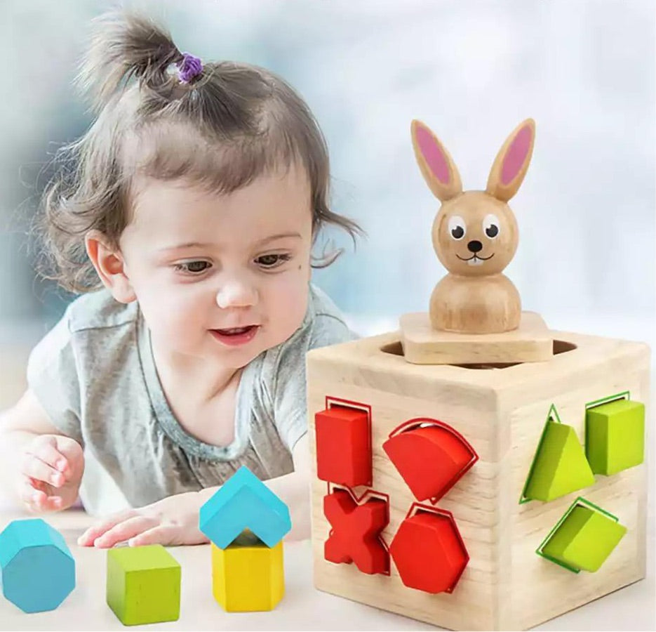 Wooden Rabbit Shape Box- Fine motor skills toys