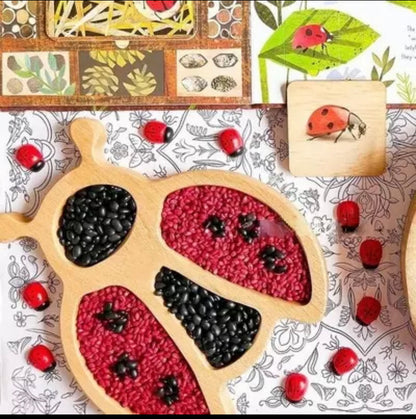 Wooden Ladybug Sensory Play Tray - Best Open Ended Play Toys