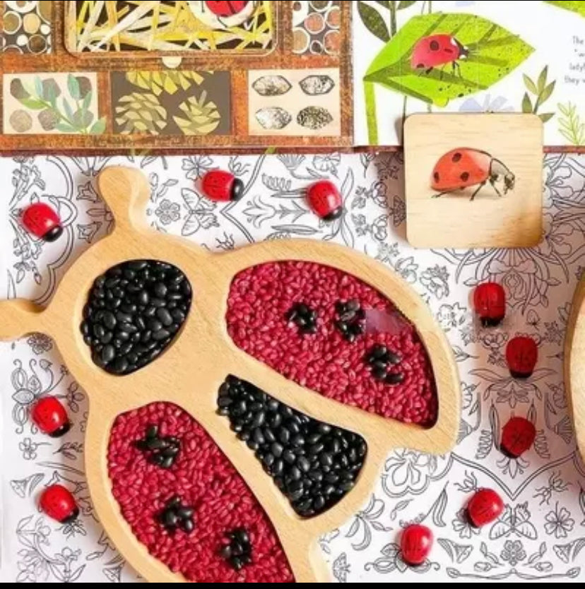 Wooden Ladybug Sensory Play Tray - Best Open Ended Play Toys