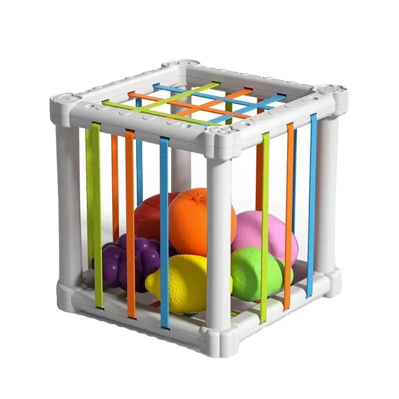 Fruit Box™ - Snijden, Spelen, Leren - Fruit in box
