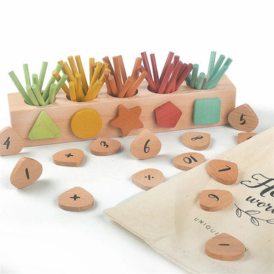Number and Colour Sorting Box - The Best Montessori Toys