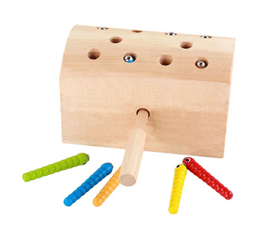 Fidtoy Jouet attrape-insectes en bois – Jeu magnétique de motricité fine pour enfants de 3 ans et plus
