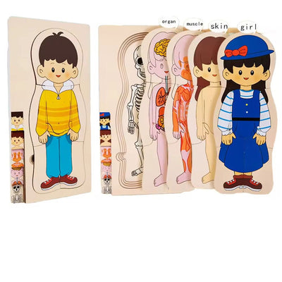Puzzle en bois multicouche sur l'anatomie humaine - Jouet éducatif de séquençage à 5 couches
