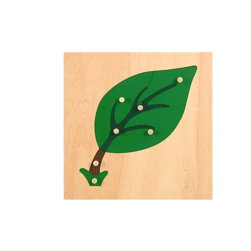 Leaf Puzzle Montessori